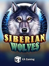 siberian-wolves