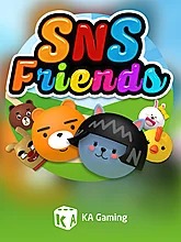 sns-friends