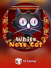 white-nose-cat