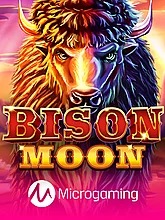 bison-moon