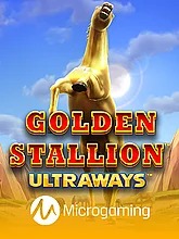 golden-stallion