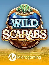wild-scarabs
