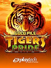 gold-pile-tigers-pride