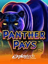 panther-pays