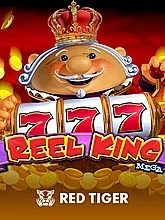 reel-king-mega