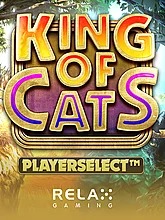 king-of-cats
