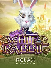 white-rabbit